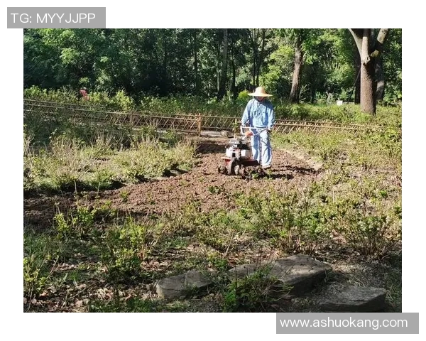 草坪养护团队的秘密:如何在百场比赛中保持球场完美状态 草坪养护团队的秘密:如何在百场比赛中保持球场完美状态